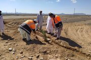 کاشت نهال توسط راهداران سیستان و بلوچستان در حاشیه محورهای مواصلاتی و راهدارخانه ها بمناسبت روز درختکاری و هفته منابع طبیعی