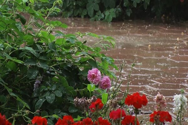 هشدار سازمان هواشناسی برای بارش شدید باران و کاهش دما در بیشتر استانهای کشور باران بهاری