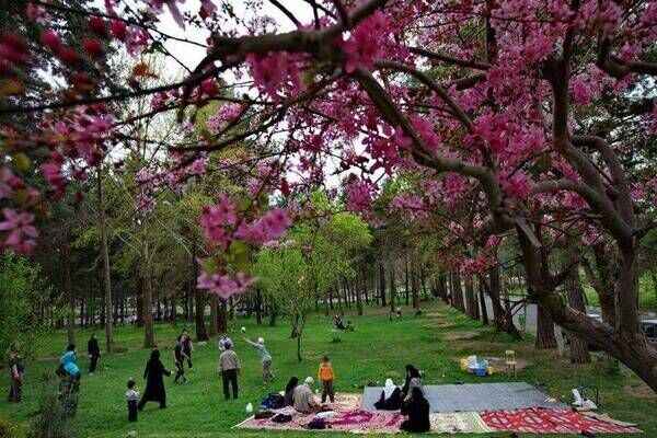 پیشبینی شرایط آب و هوایی کشور در روز طبیعت عکس