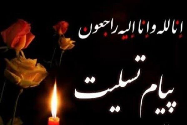 پیام تسلیت رئیس سازمان راهداری وحملونقل جادهای در پی درگذشت تعدادی از رانندگان کشورمان در حادثه تونل تنگه زاغ  پیام تسلیت