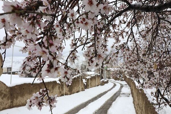 هوای زمستانی در روزهای پایانی بهار/ دمای هوا در دیزین به منفی ۳ درجه رسید برف بهاری