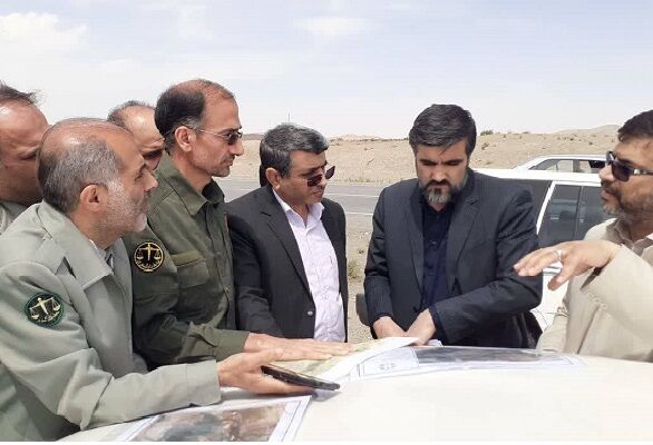 برنامه جامع حفاظت از یوز ایرانی تدوین میشود یوز میامی