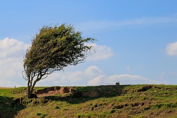 پیشبینی وزش باد شدید در کشور طی ۳ روز آینده باد طوفان توفان وزش باد