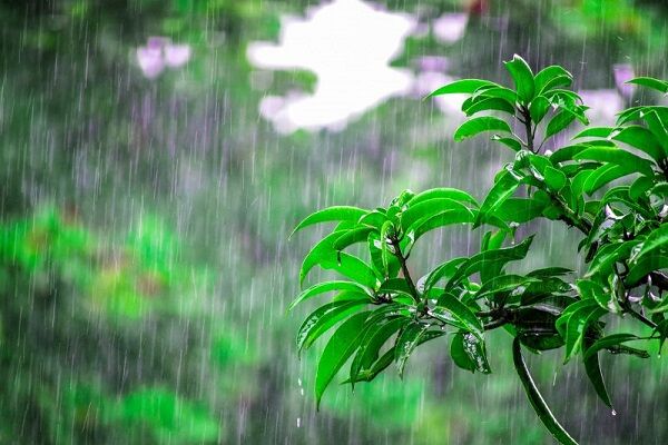 هشدار نارنجی برای رگبار باران در تهران، البرز، گیلان و مازندران باران بارش باران ابر باران تابستانی