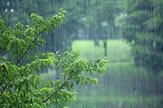 رگبار پراکنده باران در ارتفاعات البرز، مازندران و اردبیل