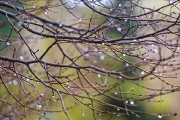 بارش برف در بلندیهای اردبیل رگبار