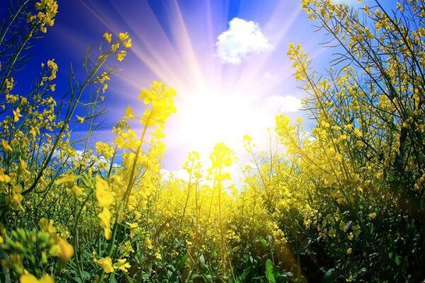 هوای کشور در بهار گرمتر از نرمال شد گرما تابستان