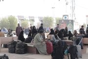 ببینید|تردد زائرین حسینی در مرزهای خوزستان