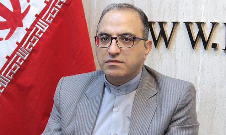 عزم حداکثری و سیاست صحیح ایران در موضوع ترانزیت شاوردیان