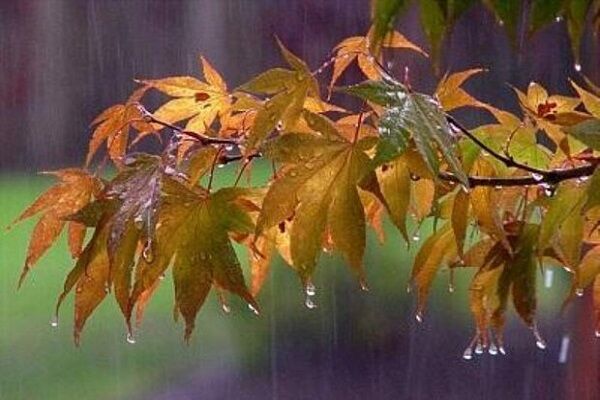 فعالیت فراگیر سامانه بارشی و گزارش بارندگی از ۳۵۰ ایستگاه هواشناسی کشور باران پاییزی