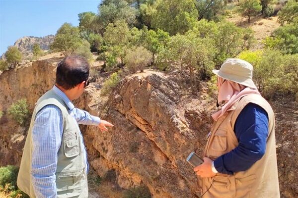 مراحل فنی طرح تعیین حریم گسلهای شهر سیسخت به اتمام رسید بیتاللهی