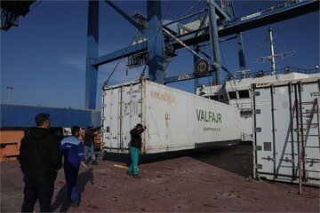 Shipment of 16 TEU container citrus fruit