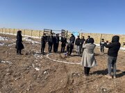آئین کلنگ زنی مجتمع ۲۵۰ واحدی نهضت ملی مسکن شهر تاکستان