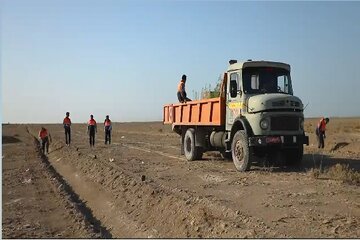 ویدیو| کاشت ۱۰۰۰ نهال در یک روز به همت اداره راهداری و حمل و نقل جاده ای شهرستان بوشهر  در محور ساحلی بوشهر به گناوه