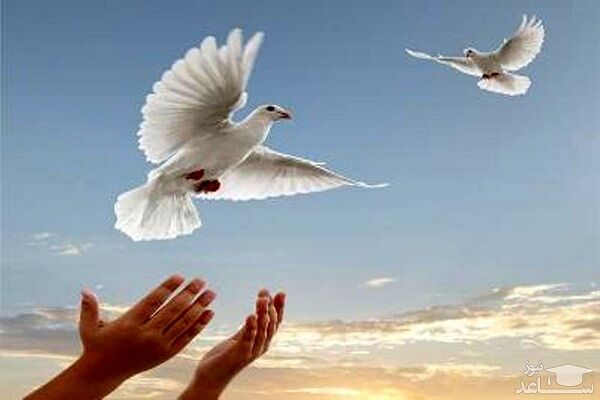 آزادی ۲ زندانی جرائم غیر عمد به همت راهداری البرز  آزادی زندانی