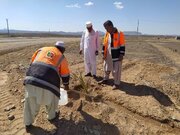 ببینید | کاشت نهال توسط راهداران سیستان و بلوچستان در محوطه ادارات و محورهای مواصلاتی به مناسبت روز درختکاری