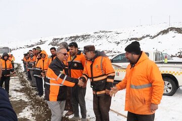 غرس ۱۸۰۰ اصله نهال توسط راهداران در محورهای استان همدان