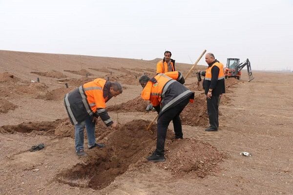 کاشت بیش از ۲۵۰۰ هزار اصله نهال توسط عوامل راهداری و حمل و نقل جادهای البرز درختکاری