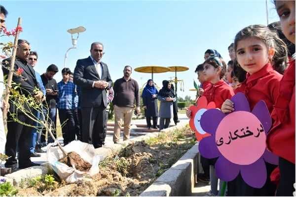 کاشت ۳۵۰ اصله نهال درخت مثمر و غیر مثمر در مجتمع بندری امام خمینی(ره) درختکاری بندر امام