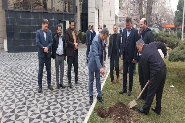 کاشت نهال همزمان با آغاز هفته منابع طبیعی و روز درختکاری اداره کل راه و شهرسازی خراسان رضوی