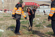 روز درخت کاری کرمانشاه