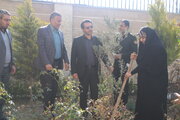 ببینید | کاشت نهال توسط کارکنان اداره کل راه و شهرسازی استان البرز به مناسبت روز درختکاری