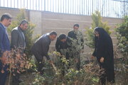 ببینید | کاشت نهال توسط کارکنان اداره کل راه و شهرسازی استان البرز به مناسبت روز درختکاری