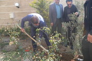 ببینید | کاشت نهال توسط کارکنان اداره کل راه و شهرسازی استان البرز به مناسبت روز درختکاری