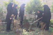 ببینید | کاشت نهال توسط کارکنان اداره کل راه و شهرسازی استان البرز به مناسبت روز درختکاری