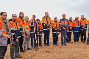 مشارکت راهداران کرمانی در کاشت ۲۰۰ هزار درخت در حاشیه راه‌های استان