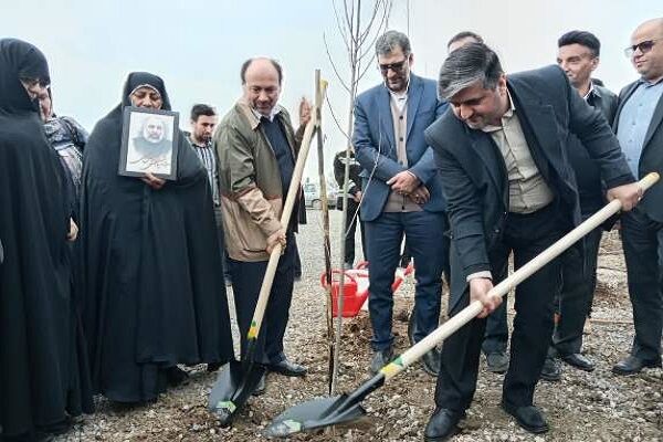 اجرای پویش نهال نو خانه نو گرگان راه و شهرسازی گلستان