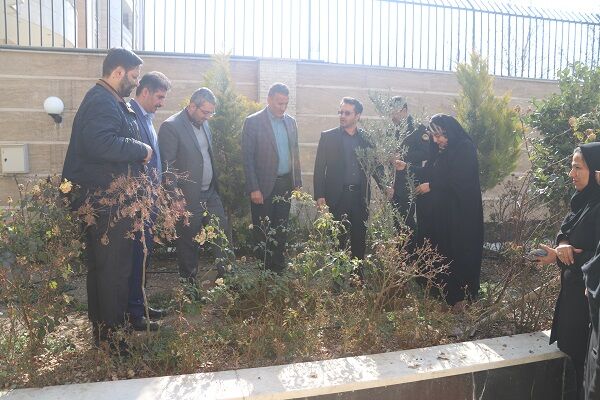 کاشت نهال توسط کارکنان اداره کل راه و شهرسازی استان البرز به مناسبت روز درختکاری البرز