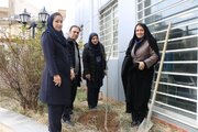 پویش درختکاری با شعار "بانوان، محیط زیست و حفظ نسل آینده"