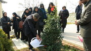 پویش درختکاری با شعار "بانوان، محیط زیست و حفظ نسل آینده"