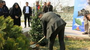 پویش درختکاری با شعار "بانوان، محیط زیست و حفظ نسل آینده"