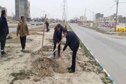 برگزاری پویش ملی نهال نو ، خانه نو ، با دست تو و برای تو در خراسان شمالی