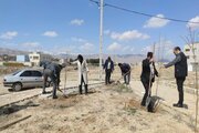 برگزاری پویش ملی نهال نو ، خانه نو ، با دست تو و برای تو در خراسان شمالی
