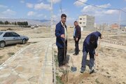 برگزاری پویش ملی نهال نو ، خانه نو ، با دست تو و برای تو در خراسان شمالی