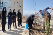 مشارکت بانوان شاغل در اداره کل راه و شهرسازی خراسان شمالی در پویش ملی نهال نو ، خانه نو،با دست تو و برای تو