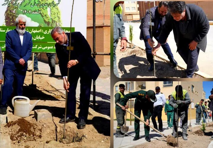 کاشت نهال توسط مدیرعامل شرکت عمران بهارستان کاشت نهال