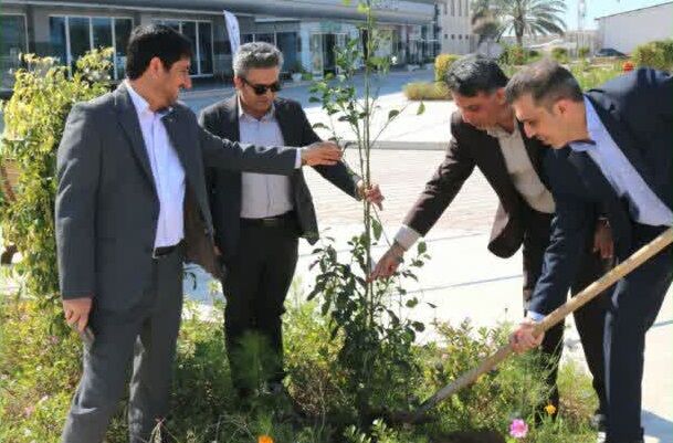 ۳۵۰ نهادل در فرودگاه بوشهر کاشته شد فرودگاه بوشهر