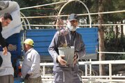 پویش درختکاری در ساختمان مرکزی اداره کل راه و شهرسازی قم