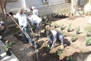 پویش درختکاری در ساختمان مرکزی اداره کل راه و شهرسازی قم
