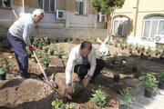 پویش درختکاری در ساختمان مرکزی اداره کل راه و شهرسازی قم