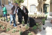 پویش درختکاری در ساختمان مرکزی اداره کل راه و شهرسازی قم