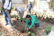 پویش درختکاری در ساختمان مرکزی اداره کل راه و شهرسازی قم