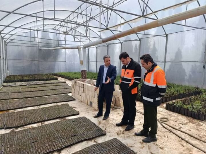 انعقاد تفاهمنامه برای ارتقای منظر راههای استان مرکزی  نهال