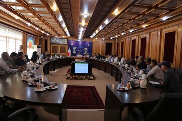 جلسه کارگروه امور زیربنایی بوشهر