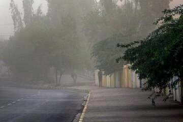 وزش باد