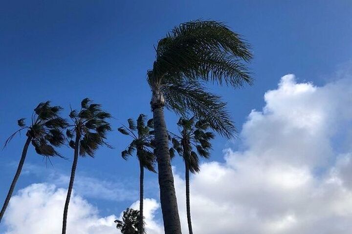 هشدار نارنجی هواشناسی برای ۱۰ استان  وزش باد